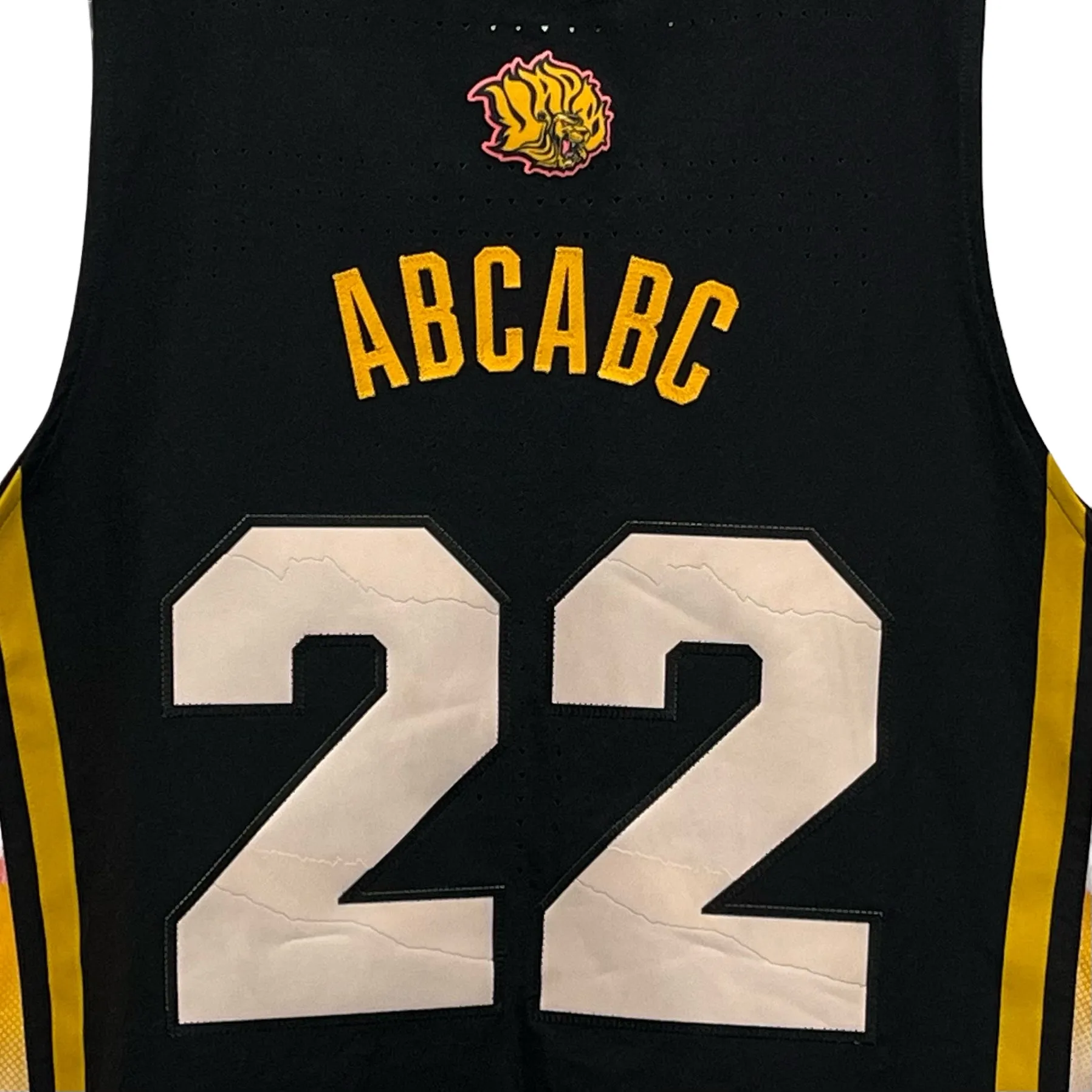 UAPB Arkansas Pine Bluff Pro Cut Basketball Jersey Black Excellence L