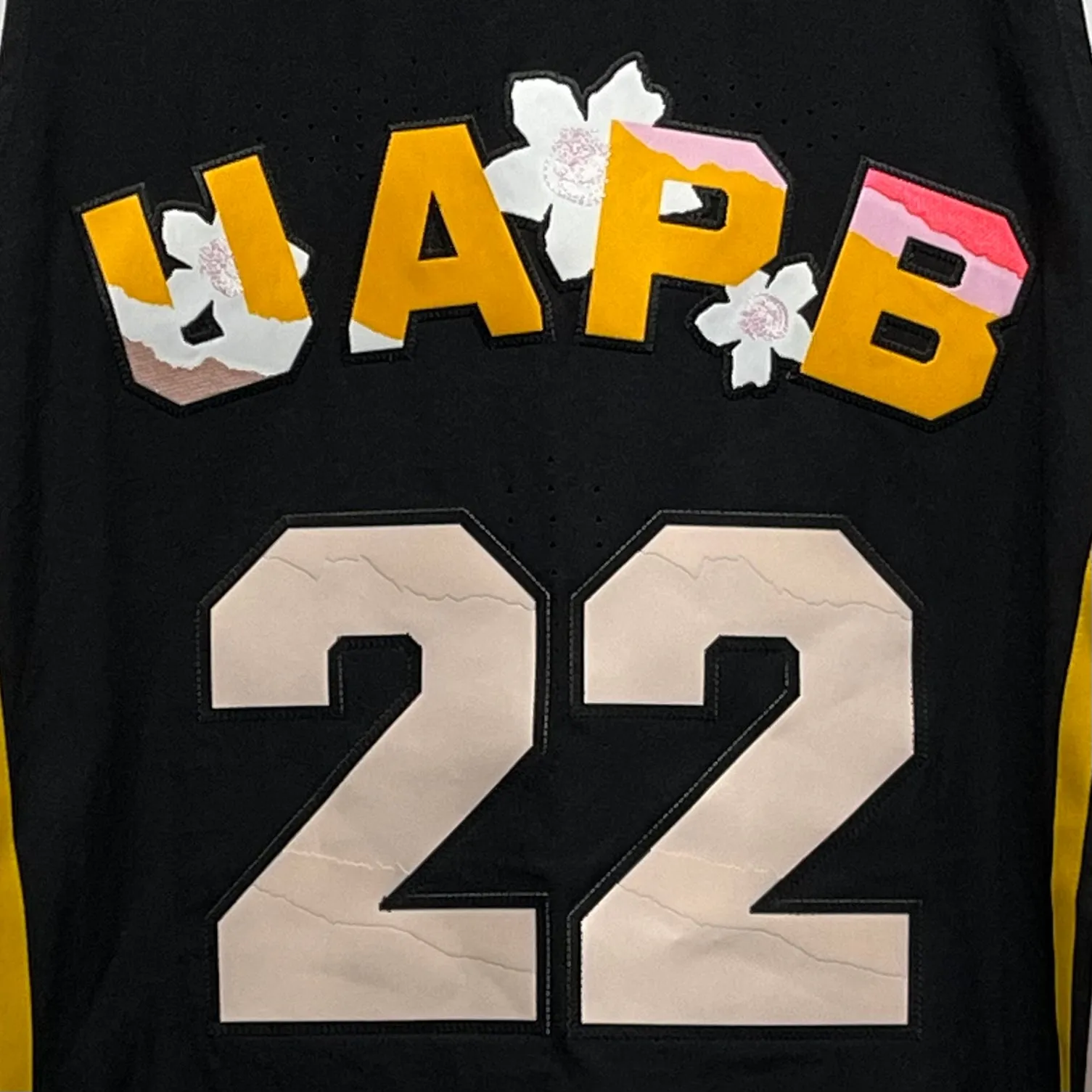 UAPB Arkansas Pine Bluff Pro Cut Basketball Jersey Black Excellence L