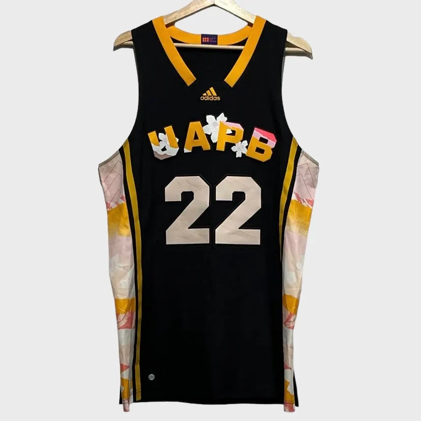 UAPB Arkansas Pine Bluff Pro Cut Basketball Jersey Black Excellence L